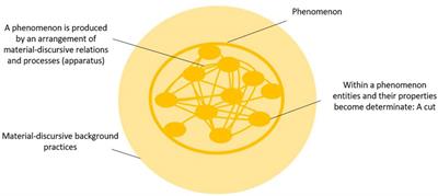 The Cod and the Cut: Intra-Active Intuitions